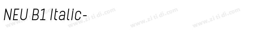 NEU B1 Italic字体转换 NEU B1 Italic字体转换